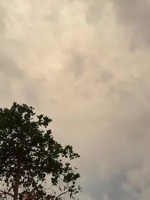 Lexington Jones TikTok