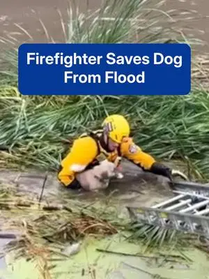 weatherchannel TikTok