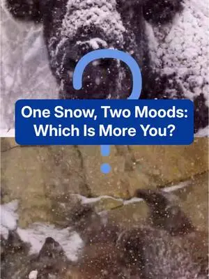 weatherchannel TikTok