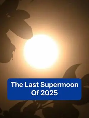 weatherchannel TikTok