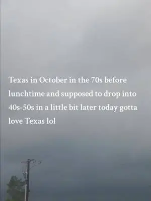 Michael Starr TikTok