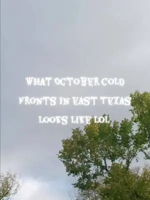 Michael Starr TikTok