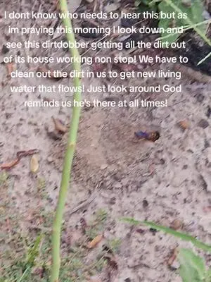 Megan Coggins TikTok