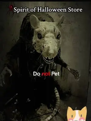 Rachael Chambers TikTok