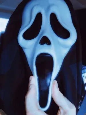 Paul white TikTok