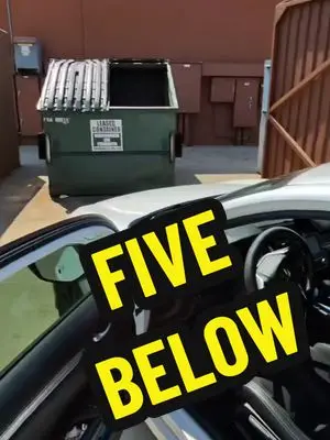 dumpsterdivingmama TikTok