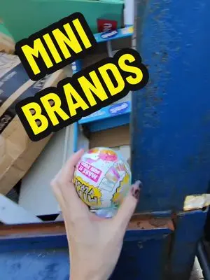 dumpsterdivingmama TikTok