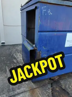 dumpsterdivingmama TikTok