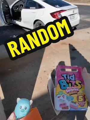 dumpsterdivingmama TikTok