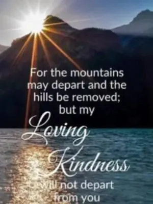 Marissa Collins TikTok