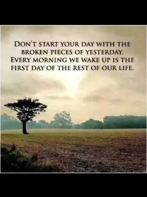 Marissa Collins TikTok