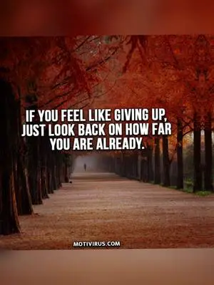 Marissa Collins TikTok