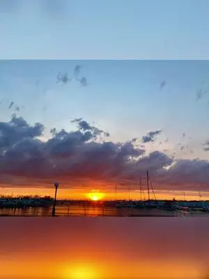 Marissa Collins TikTok