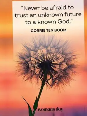 Marissa Collins TikTok