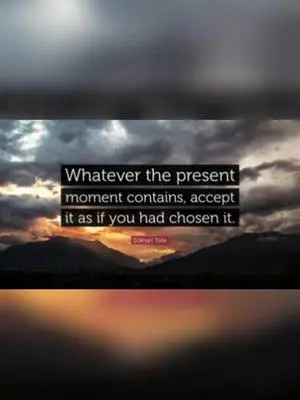 Marissa Collins TikTok