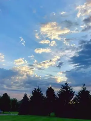 Marissa Collins TikTok