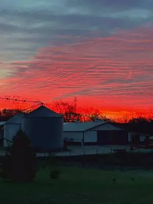 Marissa Collins TikTok