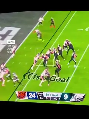 Marissa Collins TikTok