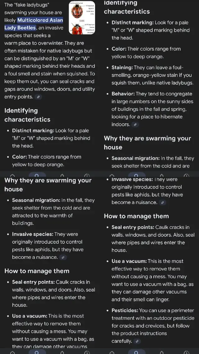 Holly Amber Hood Skeens TikTok