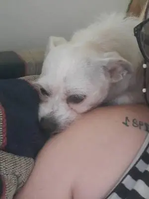 Carrie Bonnette TikTok