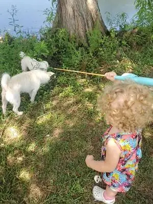 Carrie Bonnette TikTok