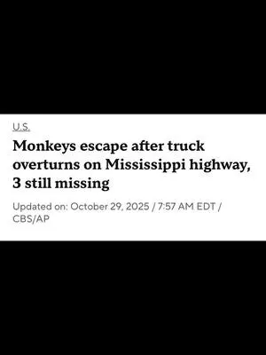 Melissa Hallman TikTok