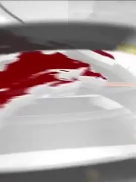 Melissa Hallman TikTok