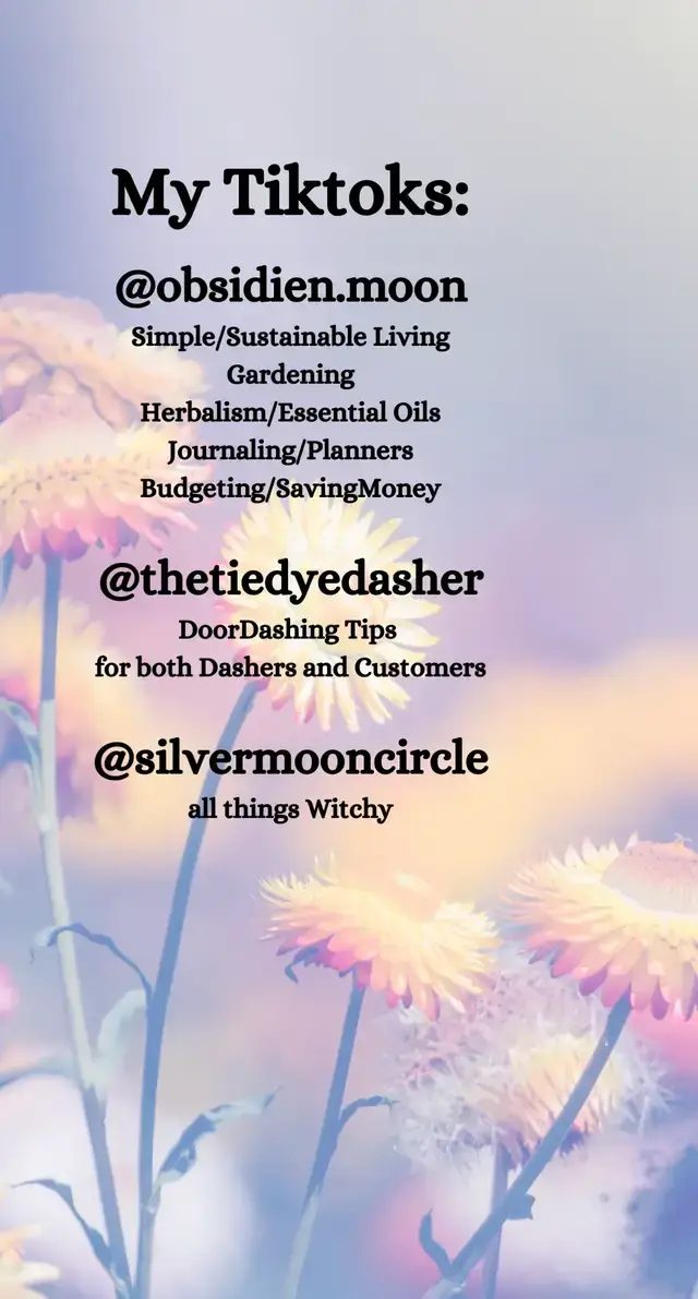 Katherine Ryan TikTok