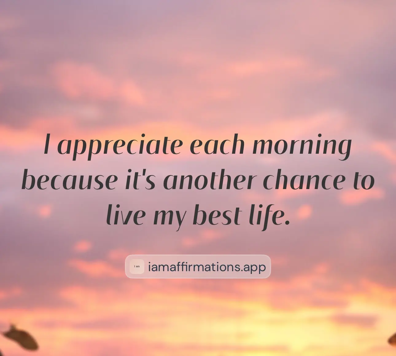 Daily dose. Affirmation