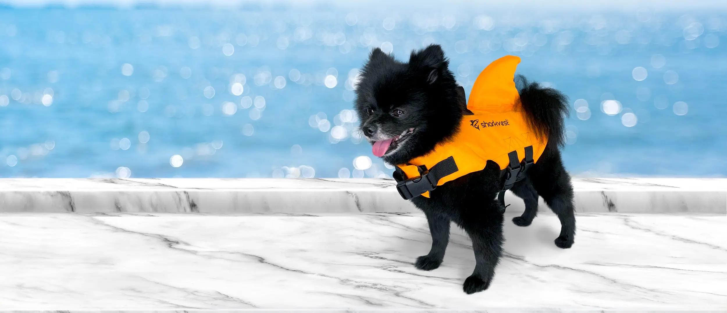Sharkvest®