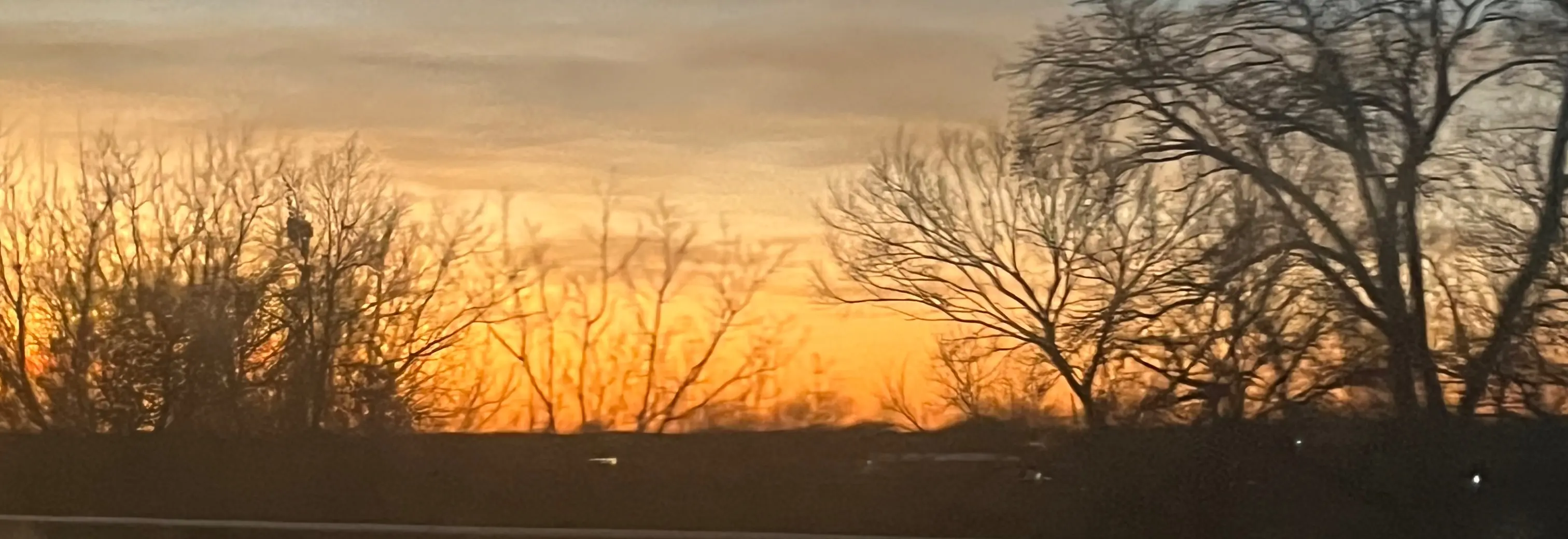 Bring your brand to life. Highlight your story