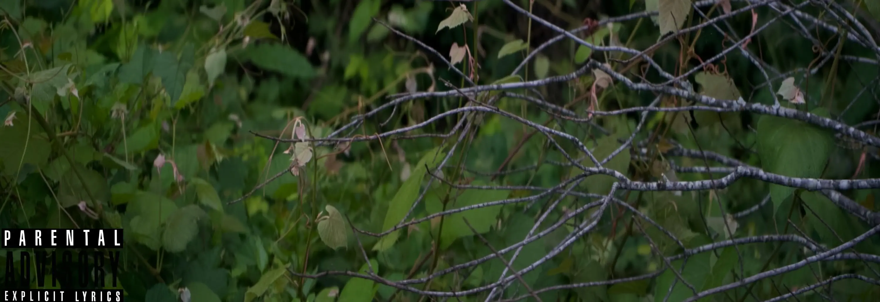 Cob¡ - Defeating Me Out Now All Platforms. Cob¡ - Defeating Me