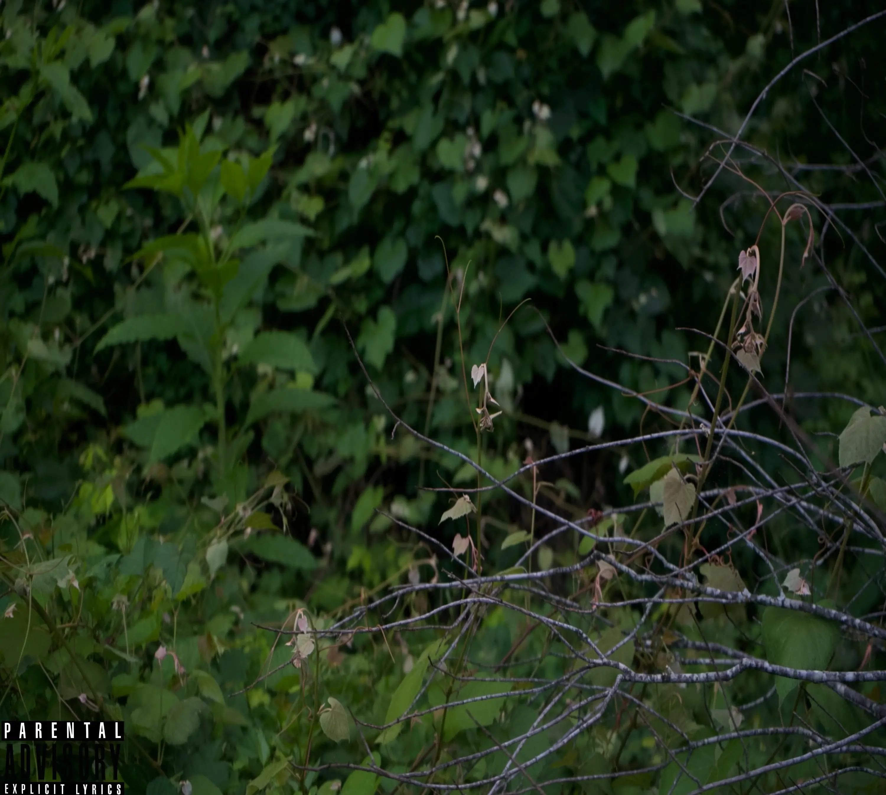 Cob¡ - Defeating Me Out Now All Platforms. Cob¡ - Defeating Me