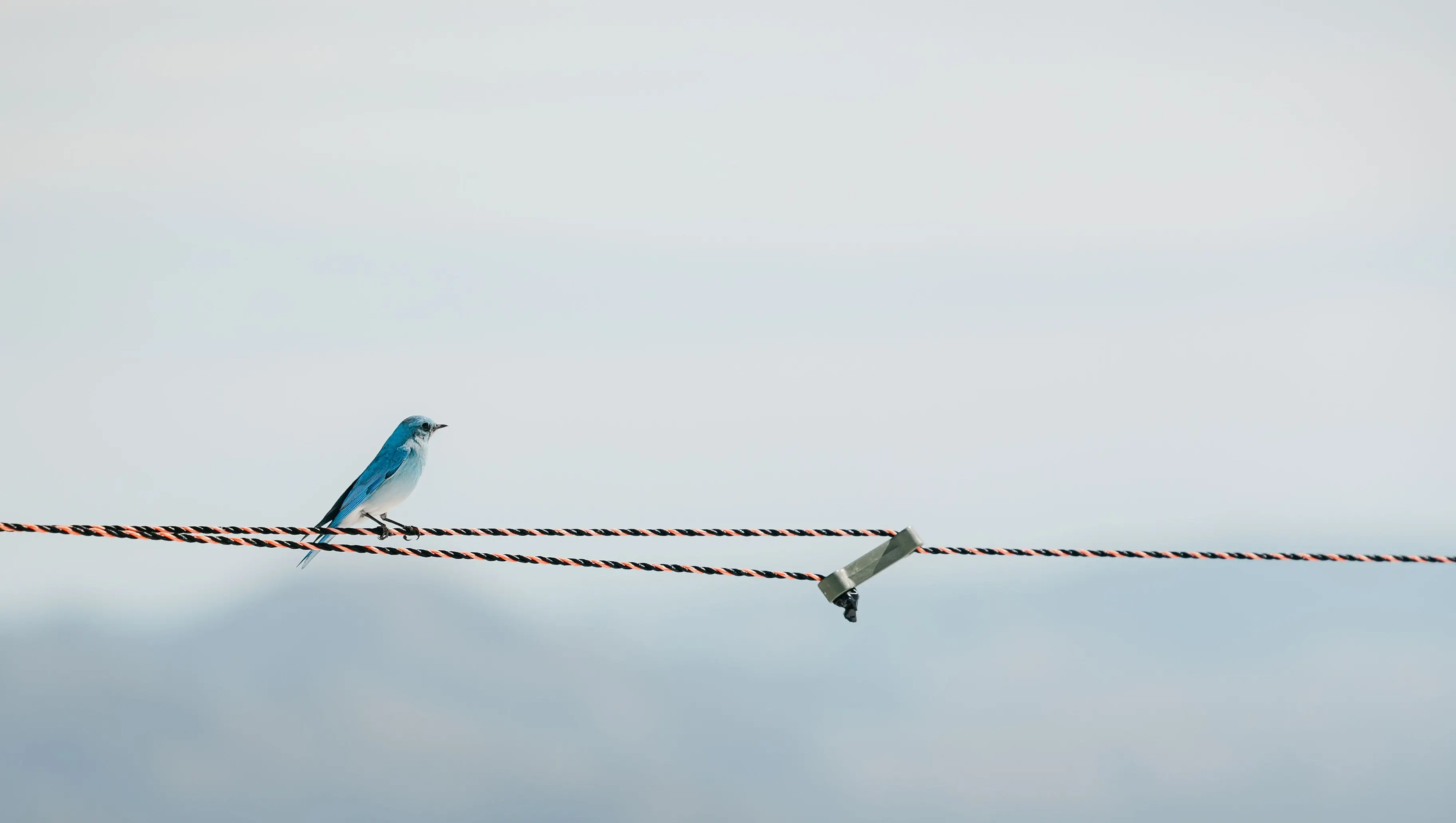 26/27. Ikon x Sun Valley