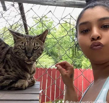 Shays_exoticJamboree