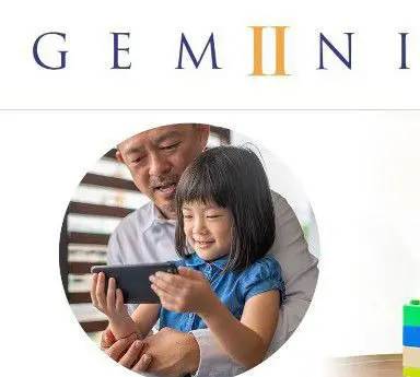 On Demand Therapy Support. Gemiini