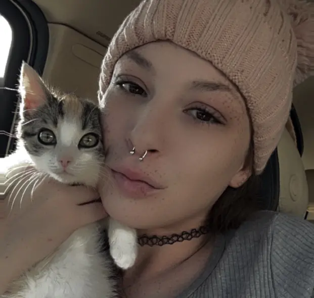 Rose’s Kitten Ranch