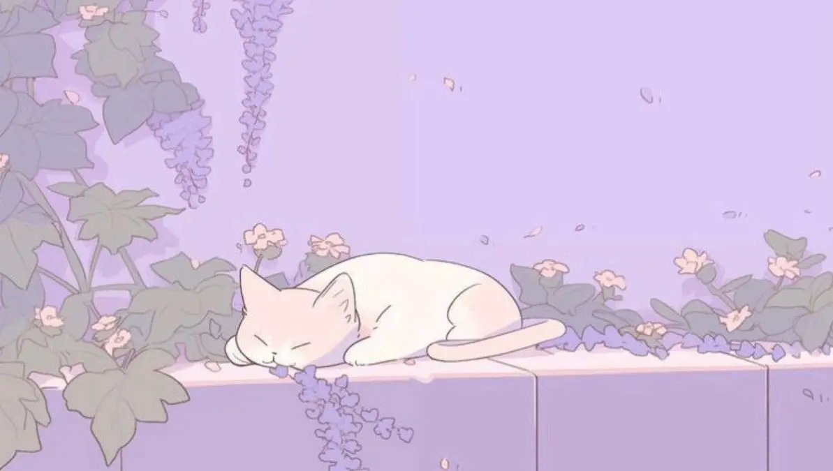 @itspurrfectpages. Find me on Pinterest!