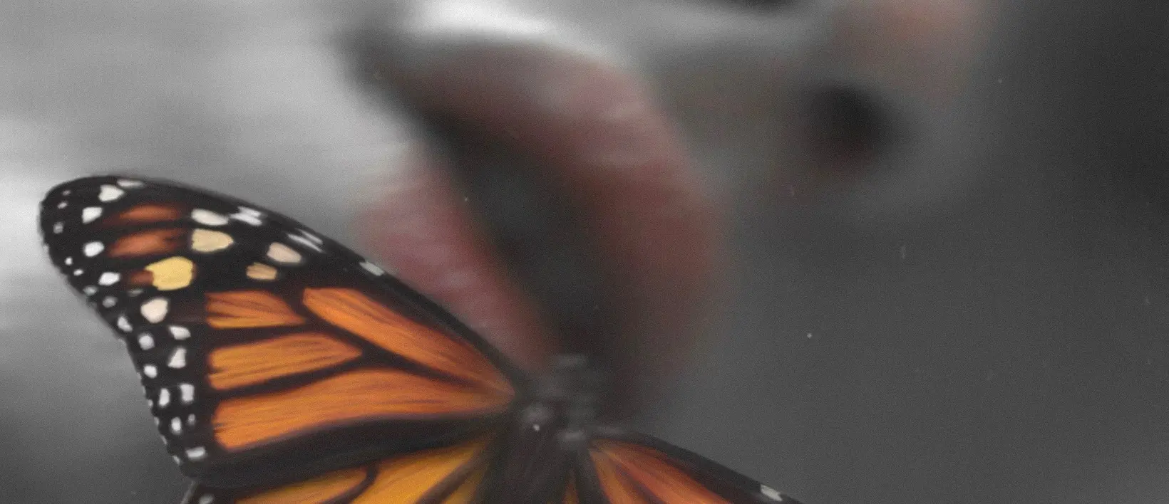 Byron Dix Digital Gallery. Portfolio