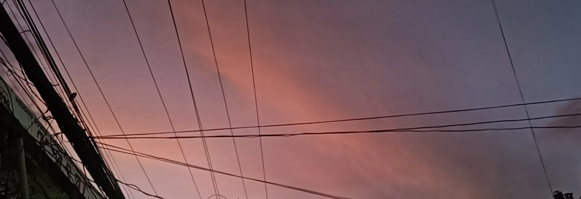 Bring your brand to life. Highlight your story