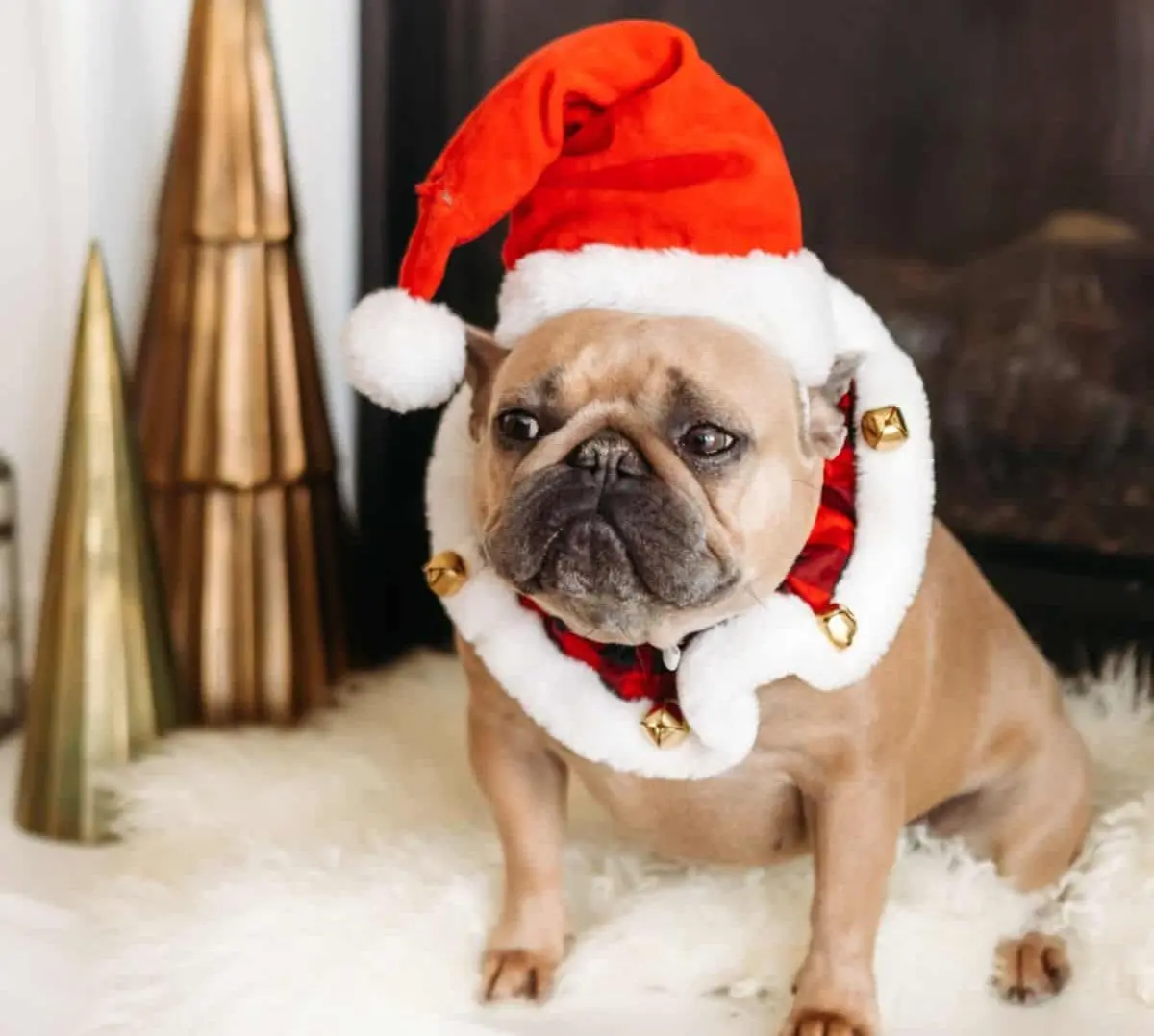 Shop Kohl's. BLACK FRIDAY DEALS