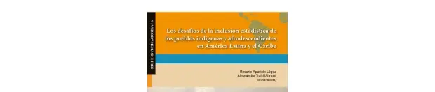 Libro. Los desafios de la inclusión estadística ..