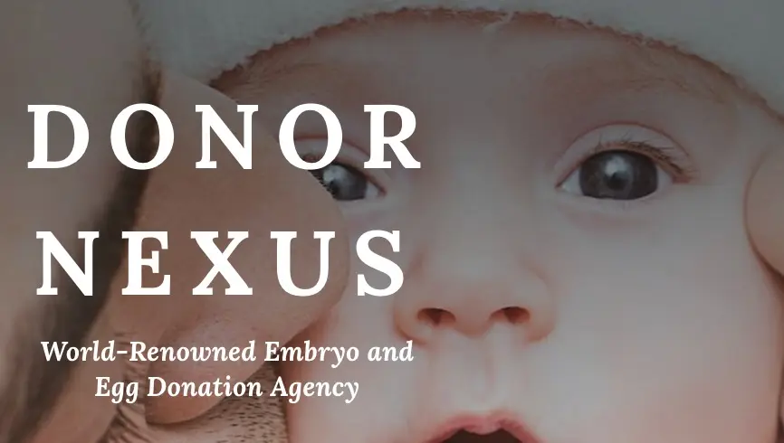 Schedule Your 1-Hour Consultation Call