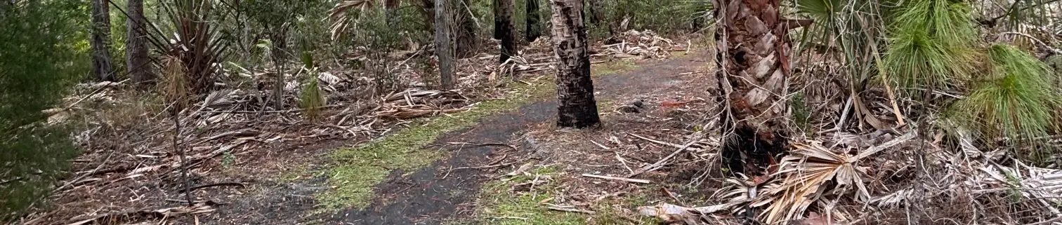 Shorts/ t-shirts. New bara discount