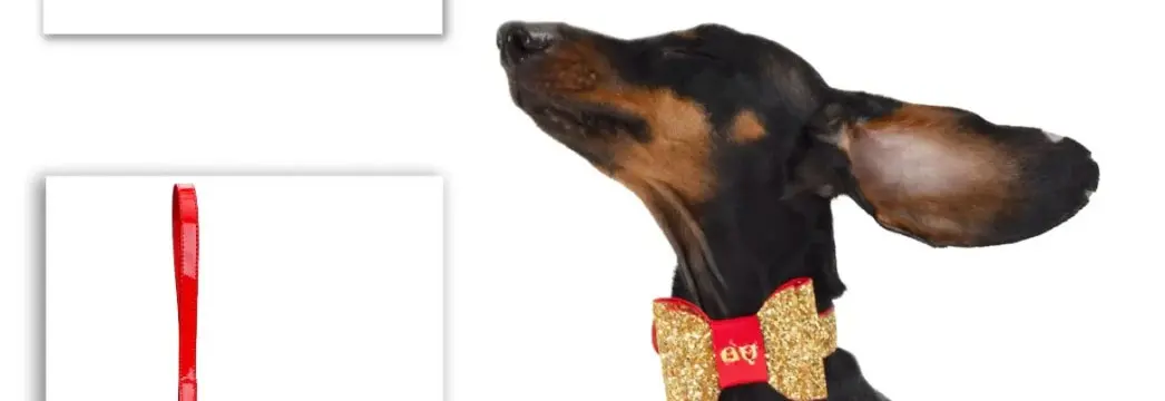 TOP PET WEAR. MOSHIQA