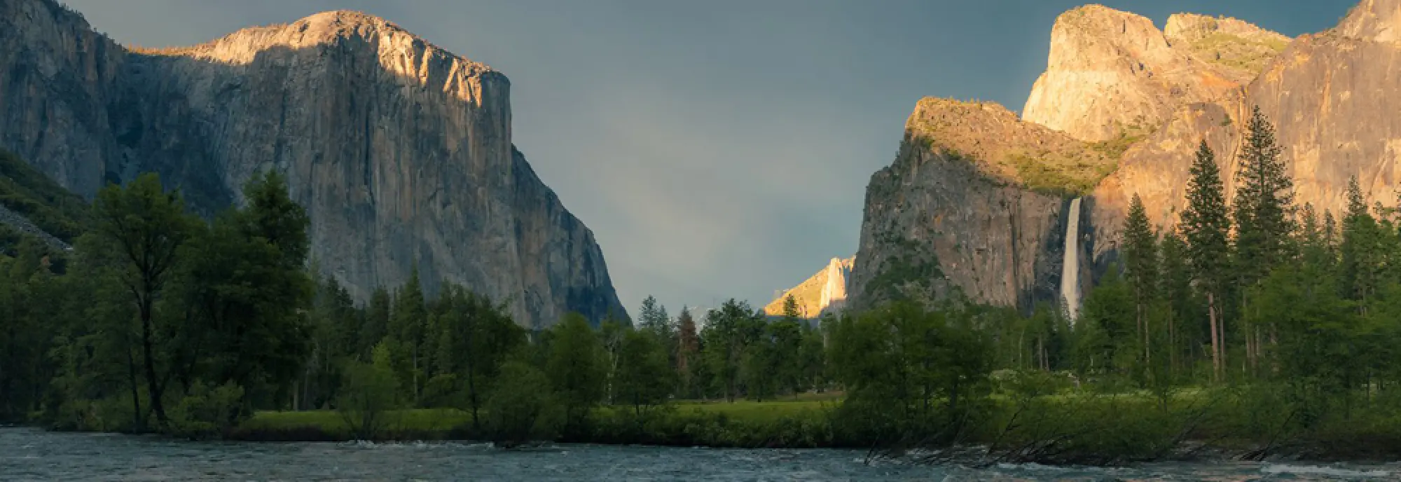 Bring the Outdoors to Your Walls. Latest Prints