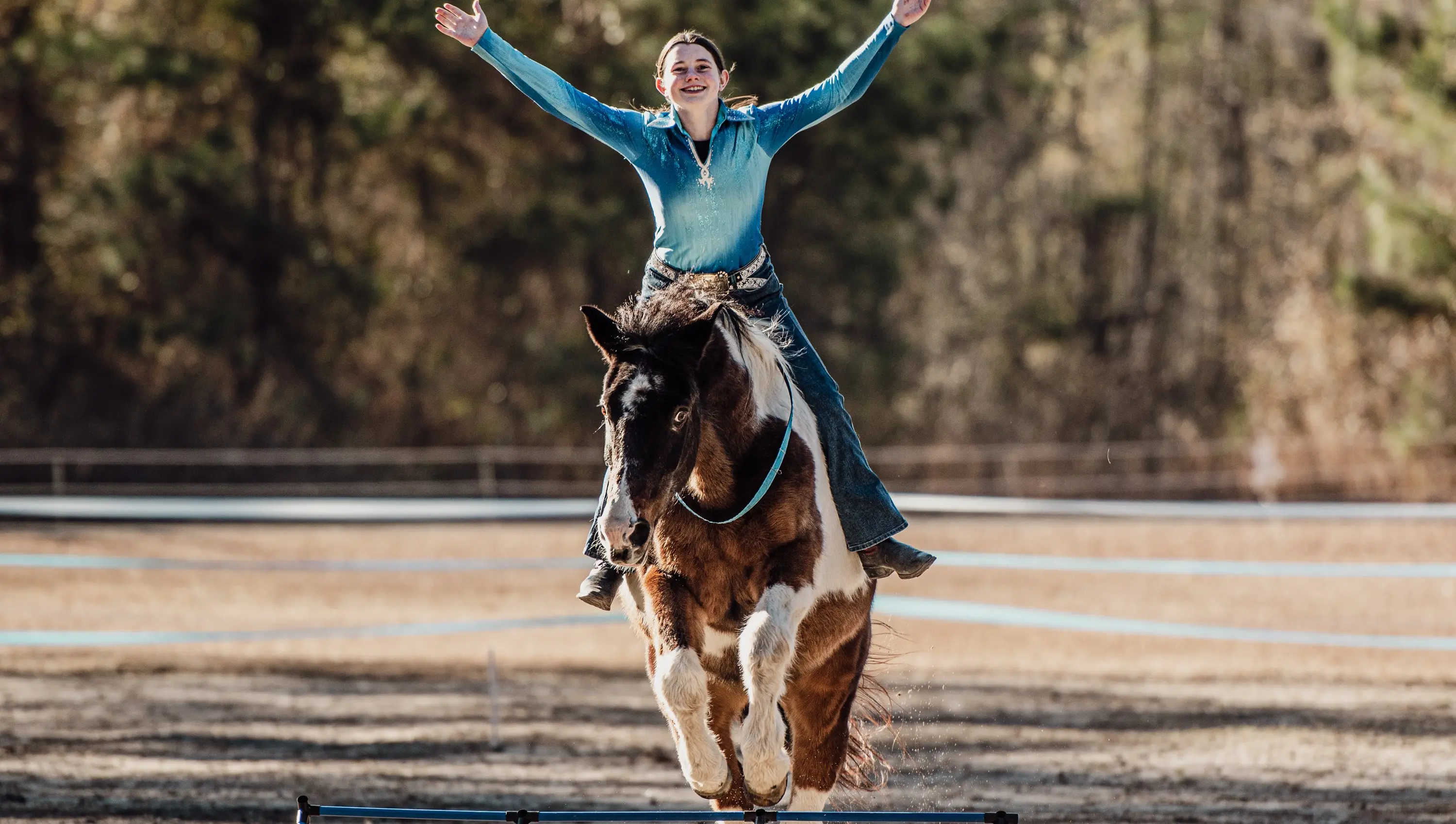 Bridleless Riding