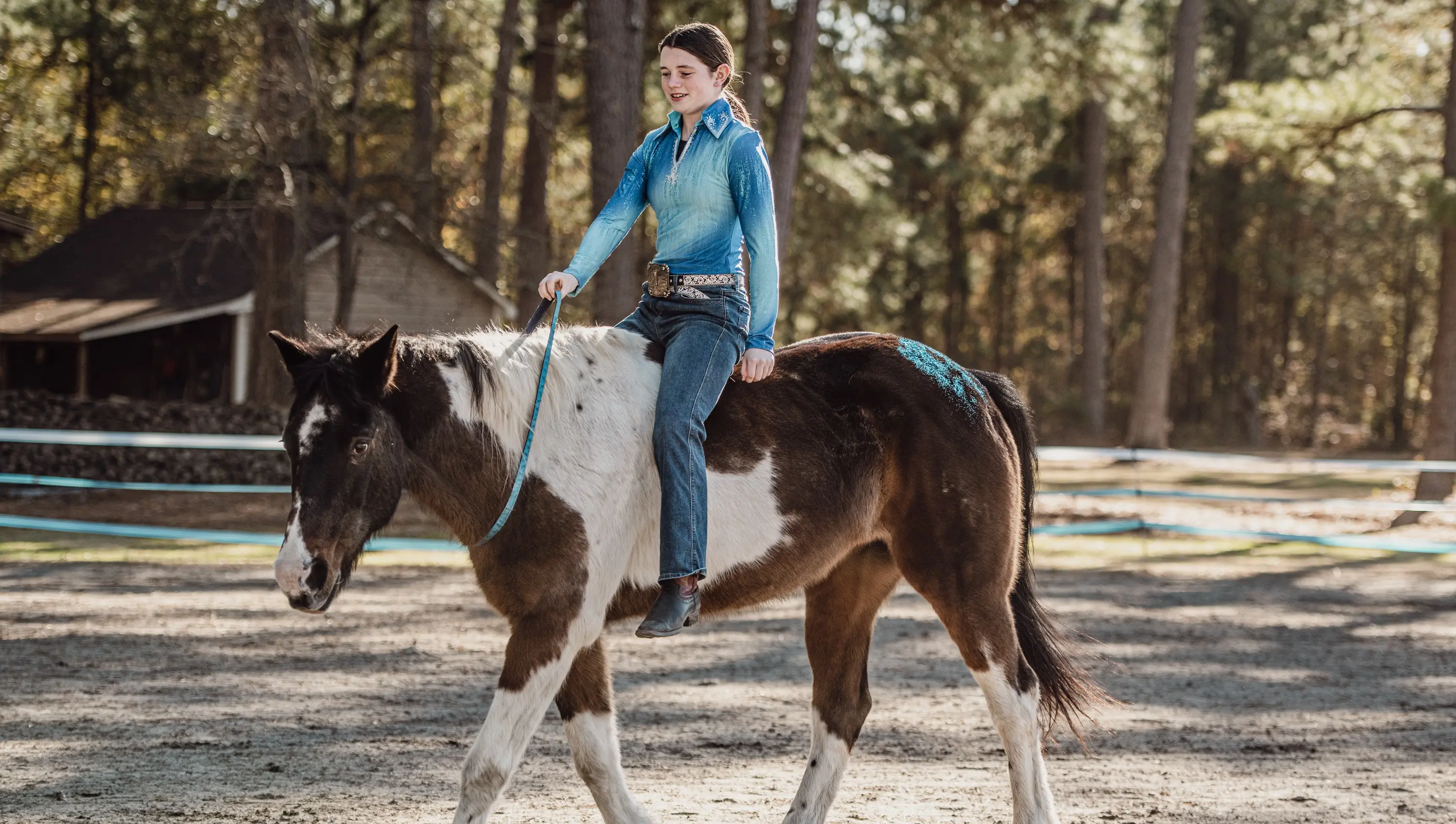 Bridleless Riding