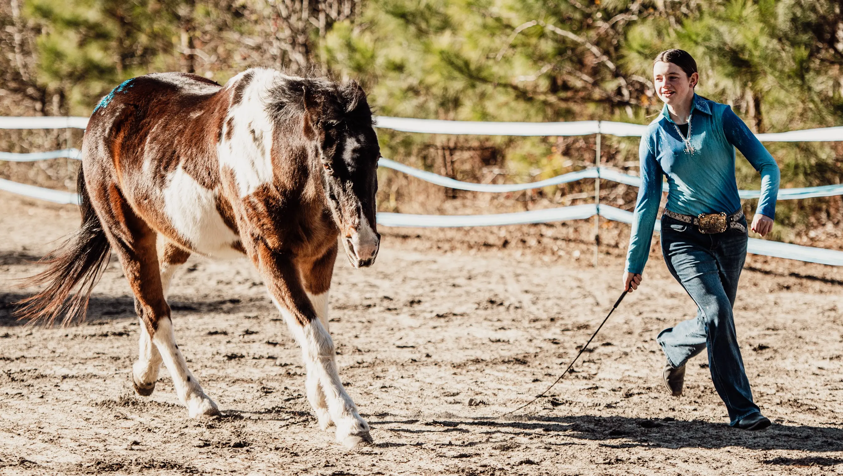 Liberty Horsemanship