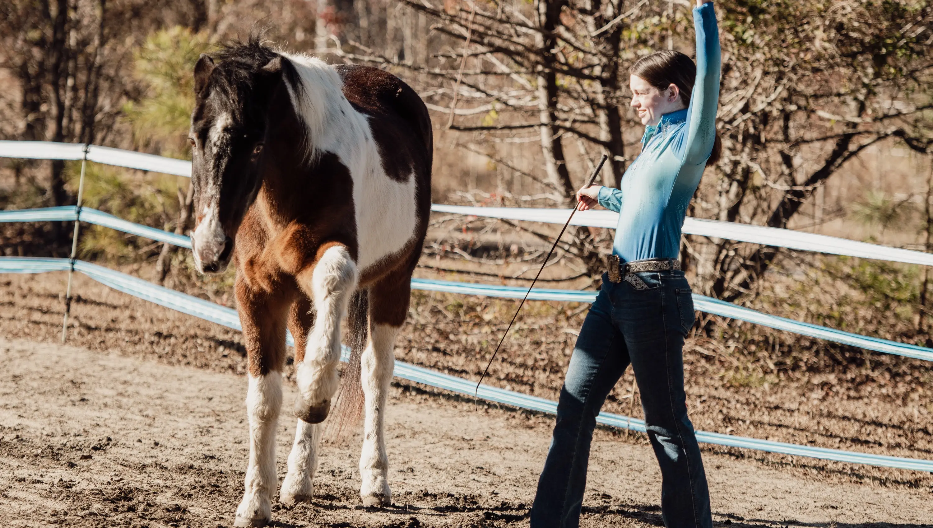 Liberty Horsemanship